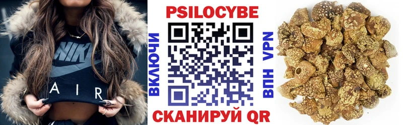 продажа наркотиков  Ельня  Псилоцибиновые грибы GOLDEN TEACHER 