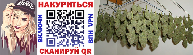 Бошки марихуана ГИДРОПОН Ельня